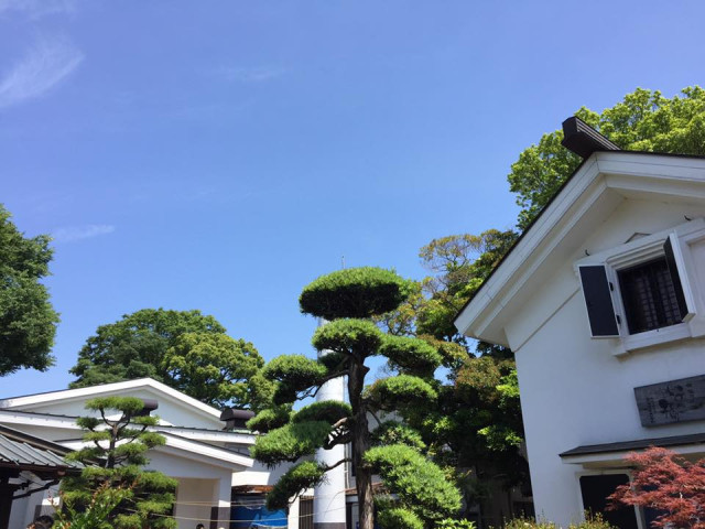 酒蔵SHOP 「酒友館」【海老名市】
